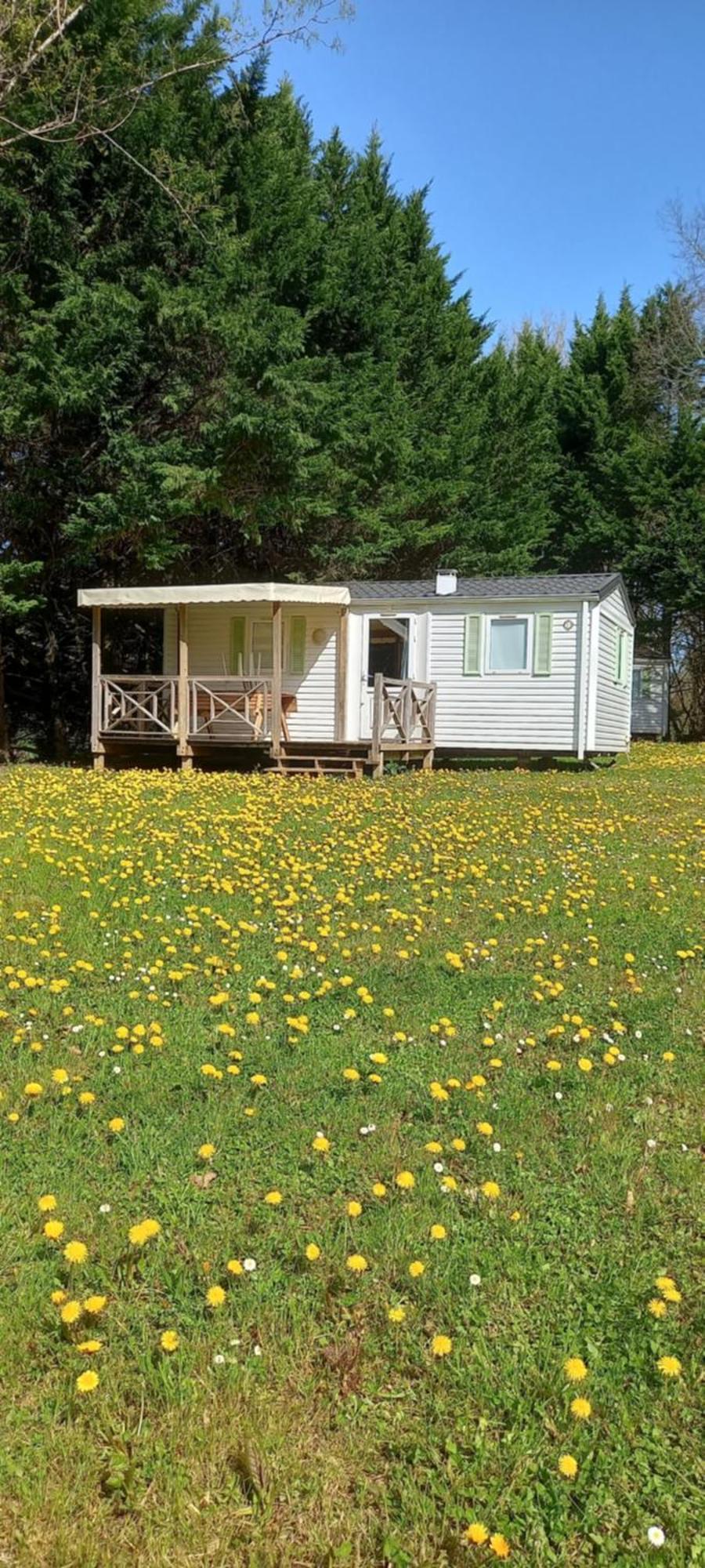 Camping Nature Le Valenty Mobil-Home-Dordogne Panoramique Clim Piscine Soturac Exterior photo
